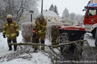 _2017-02-01 Sturmschaden Raiffeisenstrasse 4_05